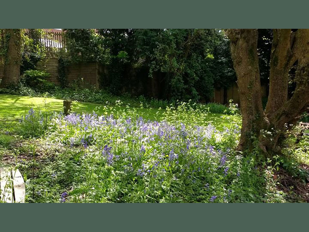 Garden at The Royal Oak, Wrecclesham, Surrey